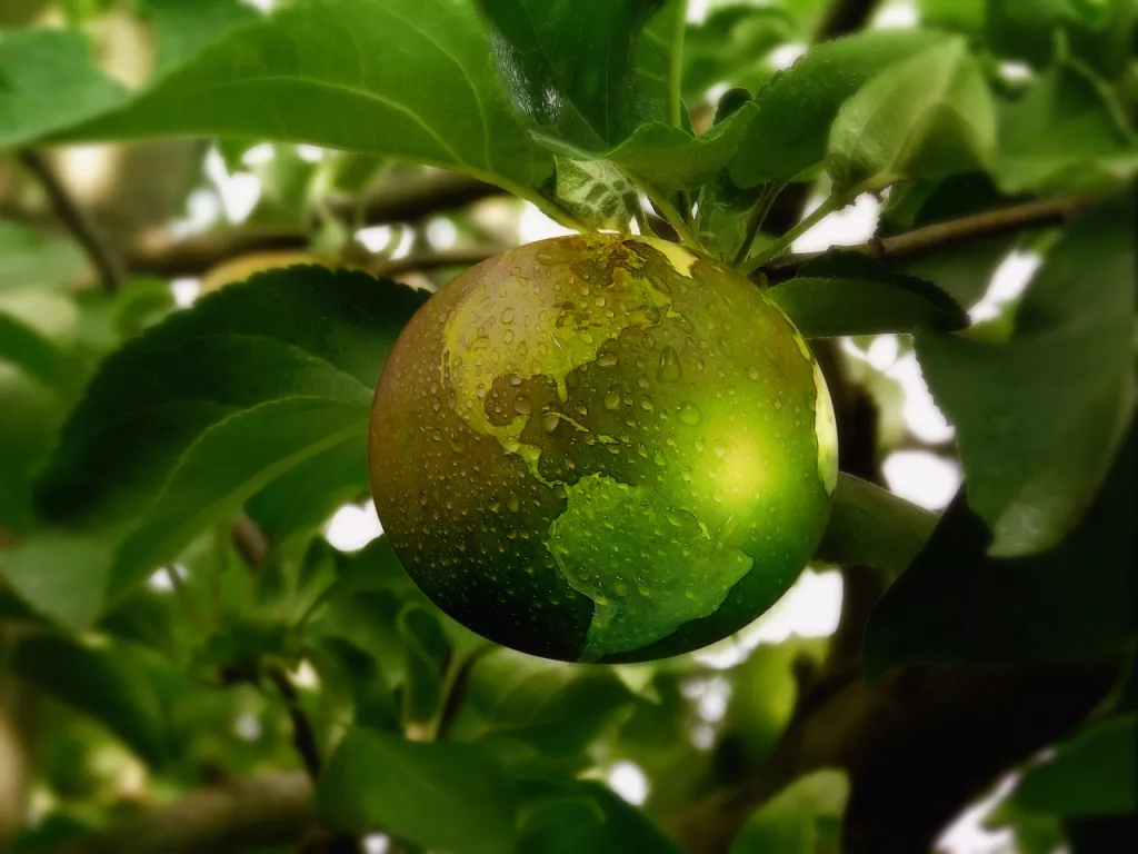 sustainability, energy, apple