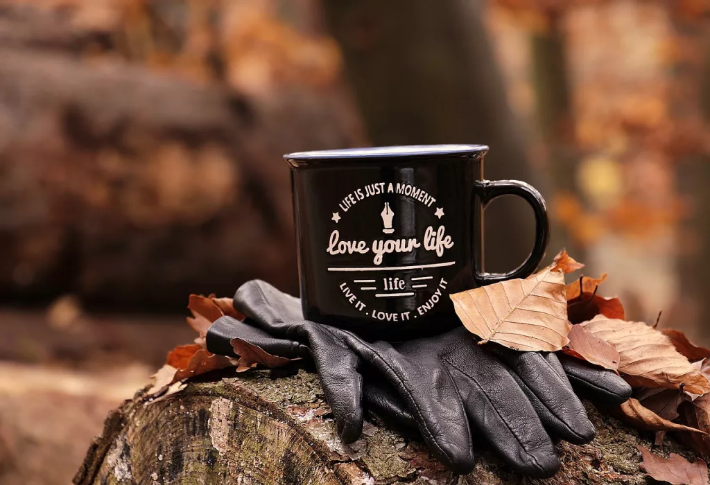 forest, fall, cup